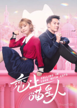 Yêu Phải Nàng Meo Tinh - Falling in Love With Cats (2020)